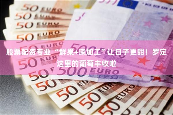 股票配资专业 “鲜果+深加工”让日子更甜！罗定这里的葡萄丰收啦