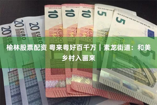 榆林股票配资 粤来粤好百千万｜素龙街道：和美乡村入画来