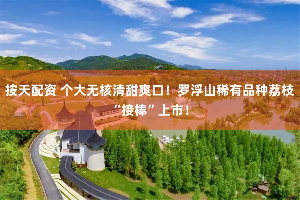 按天配资 个大无核清甜爽口！罗浮山稀有品种荔枝“接棒”上市！