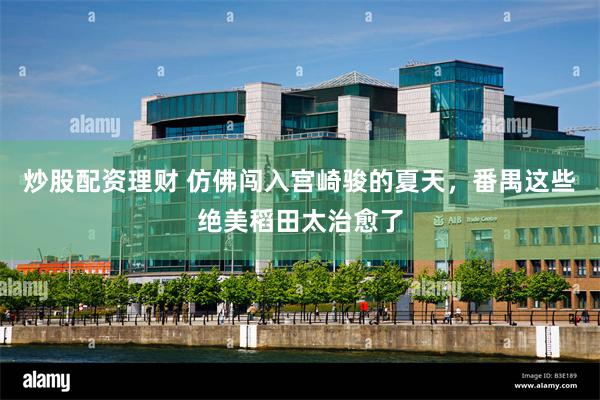 炒股配资理财 仿佛闯入宫崎骏的夏天，番禺这些绝美稻田太治愈了