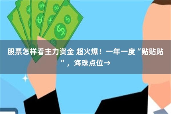 股票怎样看主力资金 超火爆！一年一度“贴贴贴”，海珠点位→