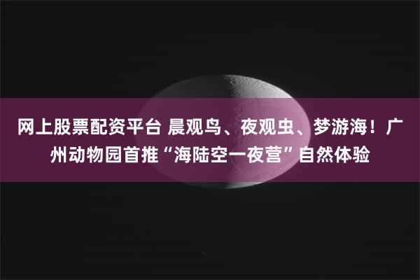 网上股票配资平台 晨观鸟、夜观虫、梦游海！广州动物园首推“海陆空一夜营”自然体验