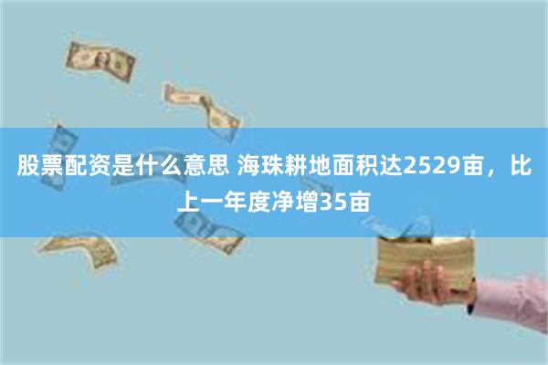 股票配资是什么意思 海珠耕地面积达2529亩，比上一年度净增35亩