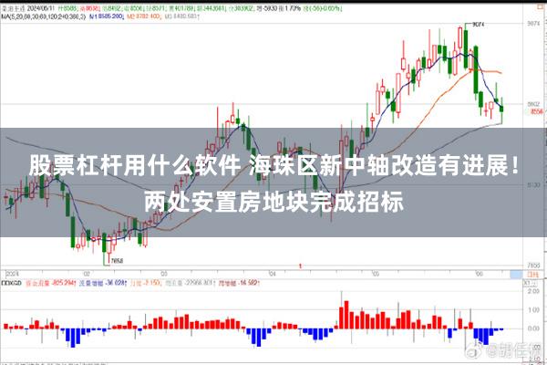 股票杠杆用什么软件 海珠区新中轴改造有进展！两处安置房地块完成招标