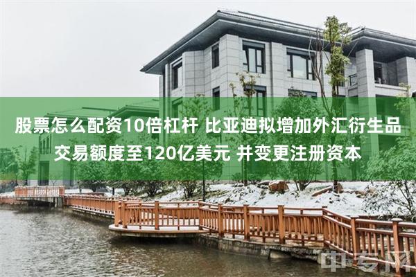 股票怎么配资10倍杠杆 比亚迪拟增加外汇衍生品交易额度至120亿美元 并变更注册资本