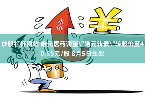 炒股杠杆网站 皓元医药调整