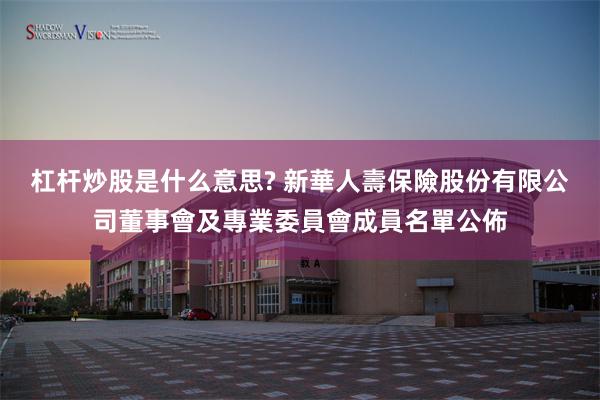 杠杆炒股是什么意思? 新華人壽保險股份有限公司董事會及專業委員會成員名單公佈