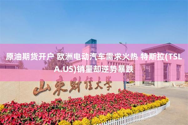 原油期货开户 欧洲电动汽车需求火热 特斯拉(TSLA.US)销量却逆势暴跌