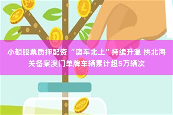 小额股票质押配资 “澳车北上”持续升温 拱北海关备案澳门单牌车辆累计超5万辆次