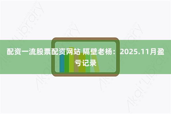 配资一流股票配资网站 隔壁老杨：2025.11月盈亏记录
