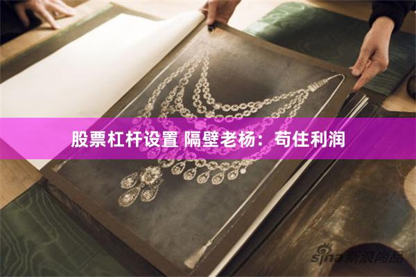 股票杠杆设置 隔壁老杨：苟住利润