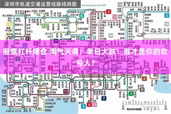 股票杠杆爆仓 淘气天尊：单日大跌！谁才是你的吹号人？