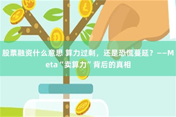 股票融资什么意思 算力过剩,还是恐慌蔓延?——Meta“卖算力”背后的真相