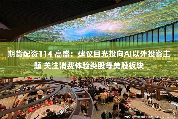 期货配资114 高盛:建议目光投向AI以外投资主题 关注消费体验类股等美股板块
