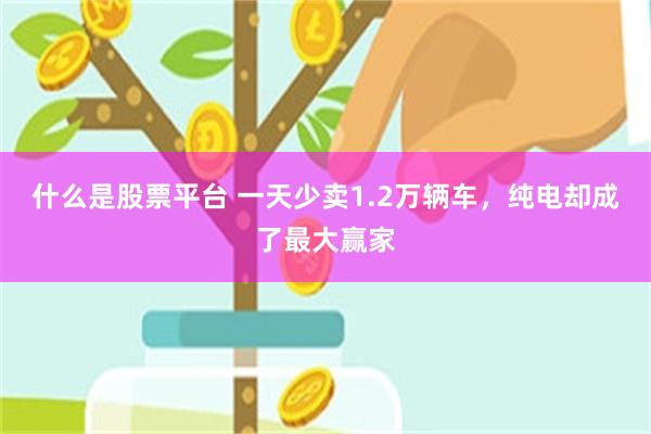 什么是股票平台 一天少卖1.2万辆车，纯电却成了最大赢家