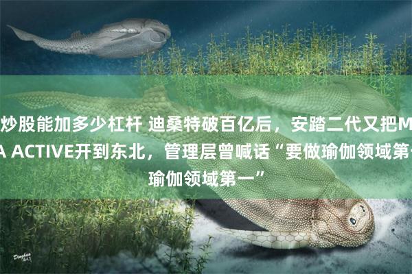 炒股能加多少杠杆 迪桑特破百亿后，安踏二代又把MAIA ACTIVE开到东北，管理层曾喊话“要做瑜伽领域第一”