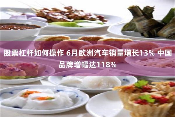 股票杠杆如何操作 6月欧洲汽车销量增长13% 中国品牌增幅达118%