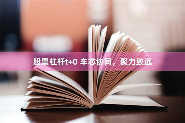 股票杠杆t+0 车芯协同,聚力致远