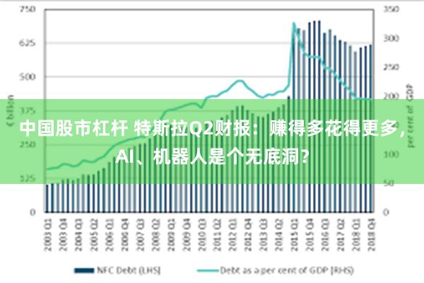 中国股市杠杆 特斯拉Q2财报:赚得多花得更多,AI、机器人是个无底洞?