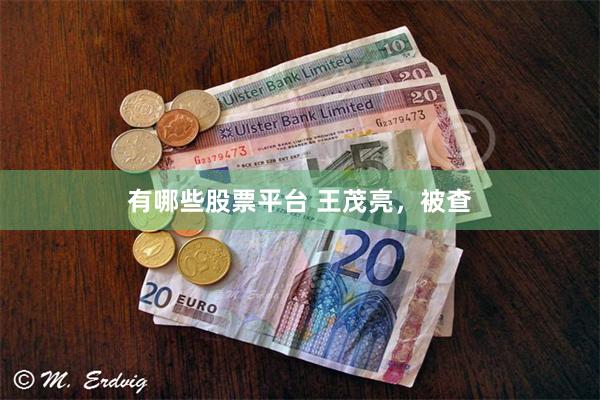 有哪些股票平台 王茂亮，被查