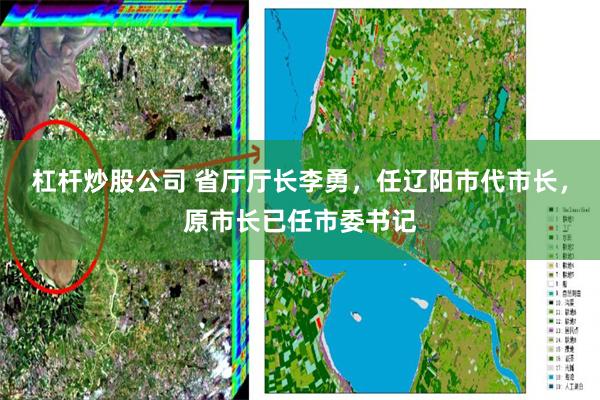 杠杆炒股公司 省厅厅长李勇，任辽阳市代市长，原市长已任市委书记