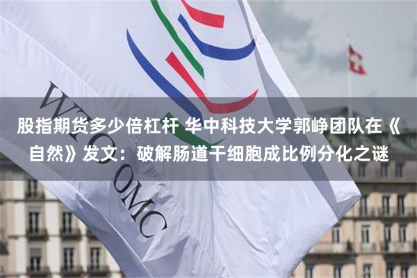 股指期货多少倍杠杆 华中科技大学郭峥团队在《自然》发文：破解肠道干细胞成比例分化之谜