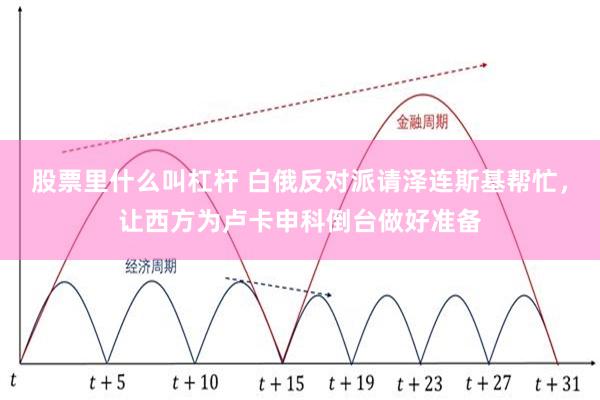 股票里什么叫杠杆 白俄反对派请泽连斯基帮忙，让西方为卢卡申科倒台做好准备