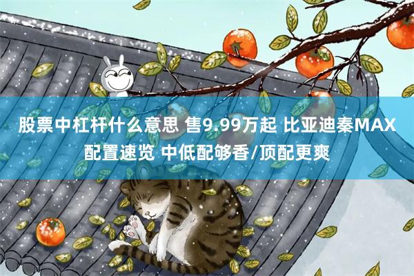 股票中杠杆什么意思 售9.99万起 比亚迪秦MAX配置速览 中低配够香/顶配更爽