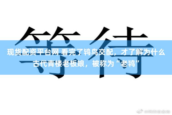 现货配资平台网 看完了鸨鸟交配，才了解为什么古代青楼老板娘，被称为“老鸨”