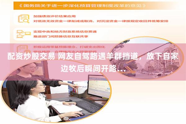 配资炒股交易 网友自驾路遇羊群挡道，放下自家边牧后瞬间开路…