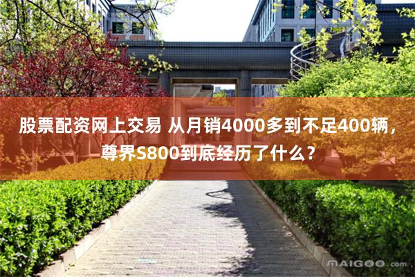 股票配资网上交易 从月销4000多到不足400辆，尊界S800到底经历了什么？